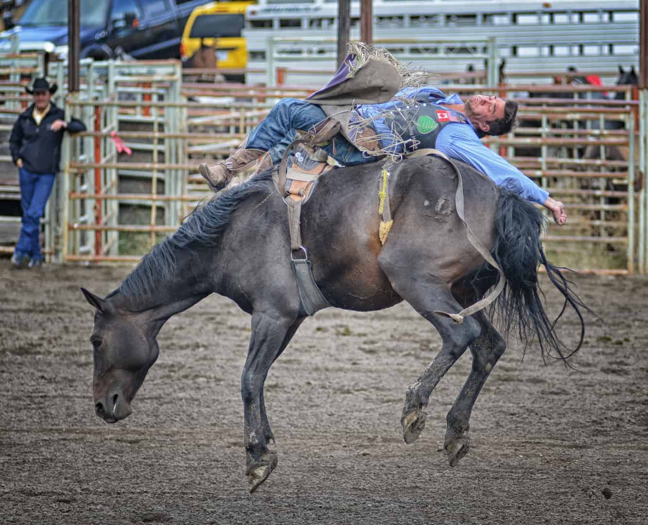 Nicola Valley Pro Rodeo. Celebrating 60 Years. - Experience Nicola ...