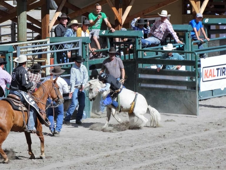 Nicola Valley Pro Rodeo and Fall Fair In Merritt BC