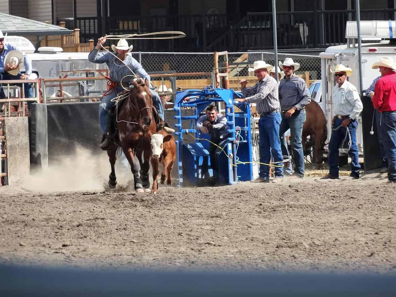 Nicola Valley Pro Rodeo and Fall Fair In Merritt BC