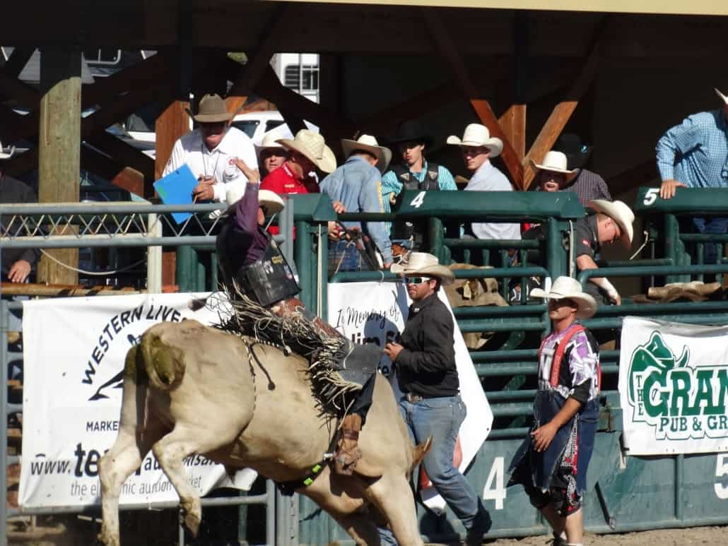 Nicola Valley Rodeo Association