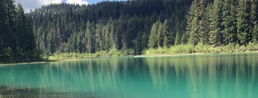 B.C.'s Corbett Lake solid place for fly fishing