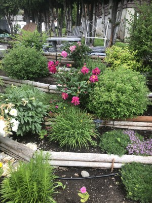 Terrace garden with logs