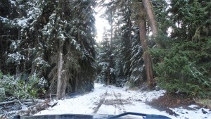 backcountry roads in Merritt BC