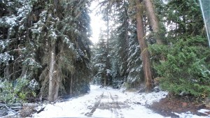 Merritt BC Logging Road Trails