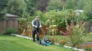 Gardening and lawn care