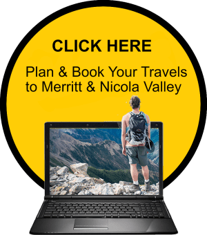 Plan and book your travels to merritt and nicol avalley